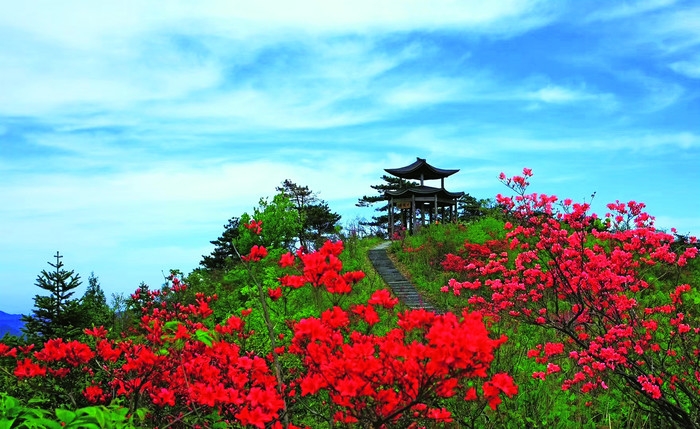 桃花源生态景区坐落于风景秀丽的"中国白桃之乡"——金华市金东区源东