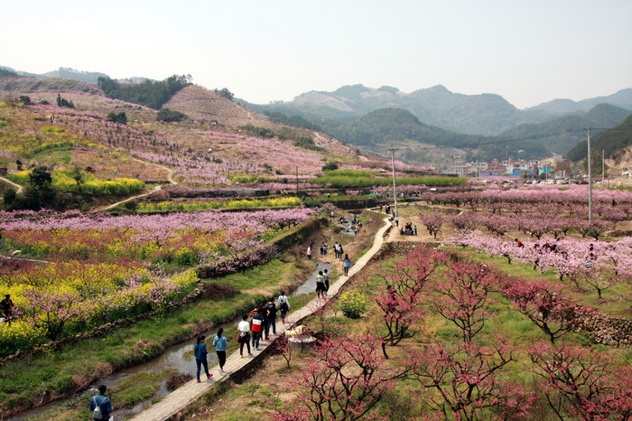 义乌桃花坞景区图片