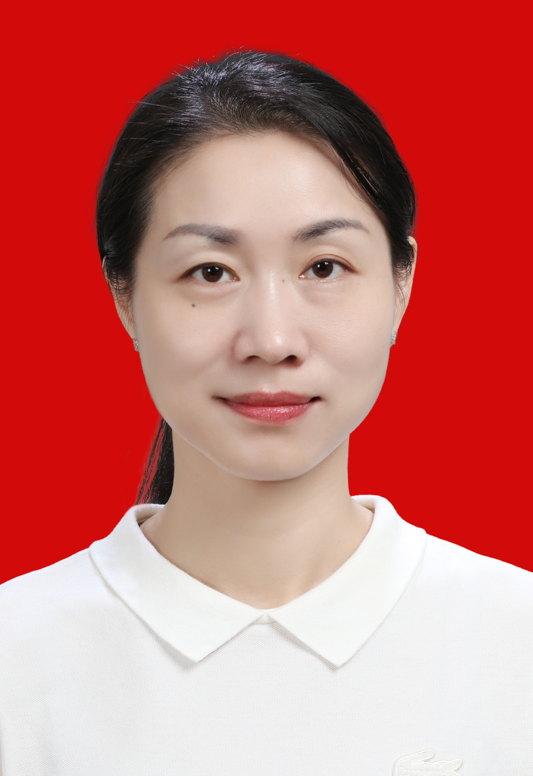 大街乡党委(副书记,乡长)张宁