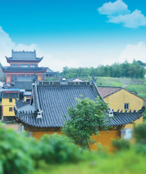 夏履越王峥. 谢国民 摄