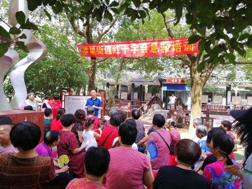 开展“情暖李家 爱在身边”红十字会公益急救培训。社区红十字会会员、志愿者，居民，青少年学生纷纷参与其中，省一级救护师陆星海现场为居民培训。2.jpg