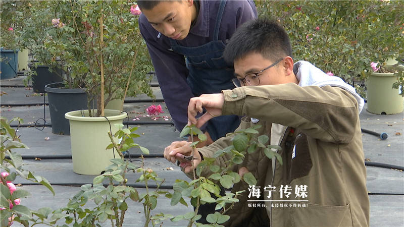 黨代表風采李正平探索互聯網花卉帶領花農走上共富之路