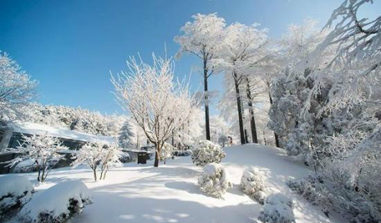 四明山雪景