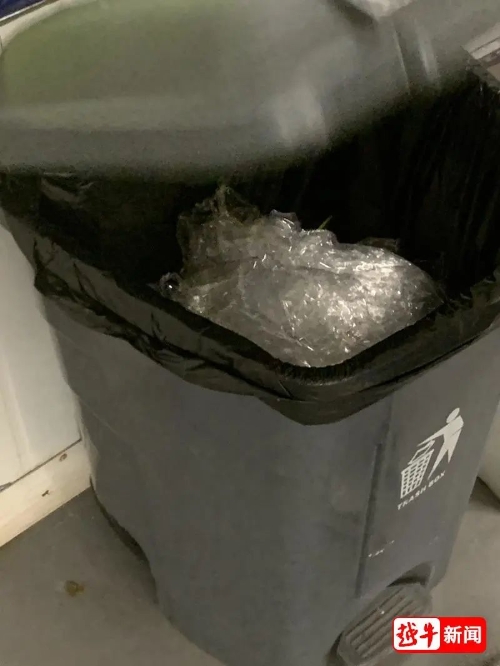 4.jpeg