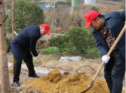 联合澄江街道干部30多人,在北院线(北城街道至院桥镇)沿线开展义务