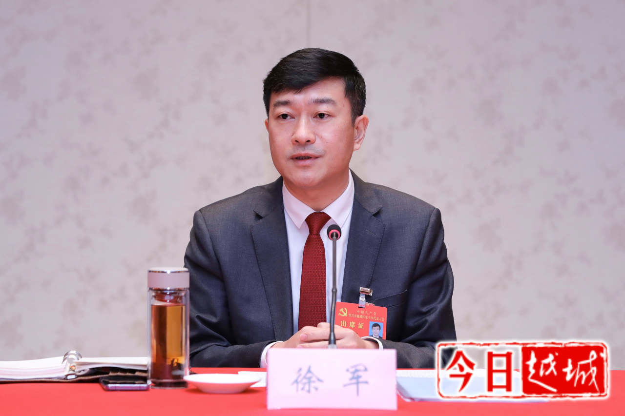 徐军钱林江分别参加代表团活动