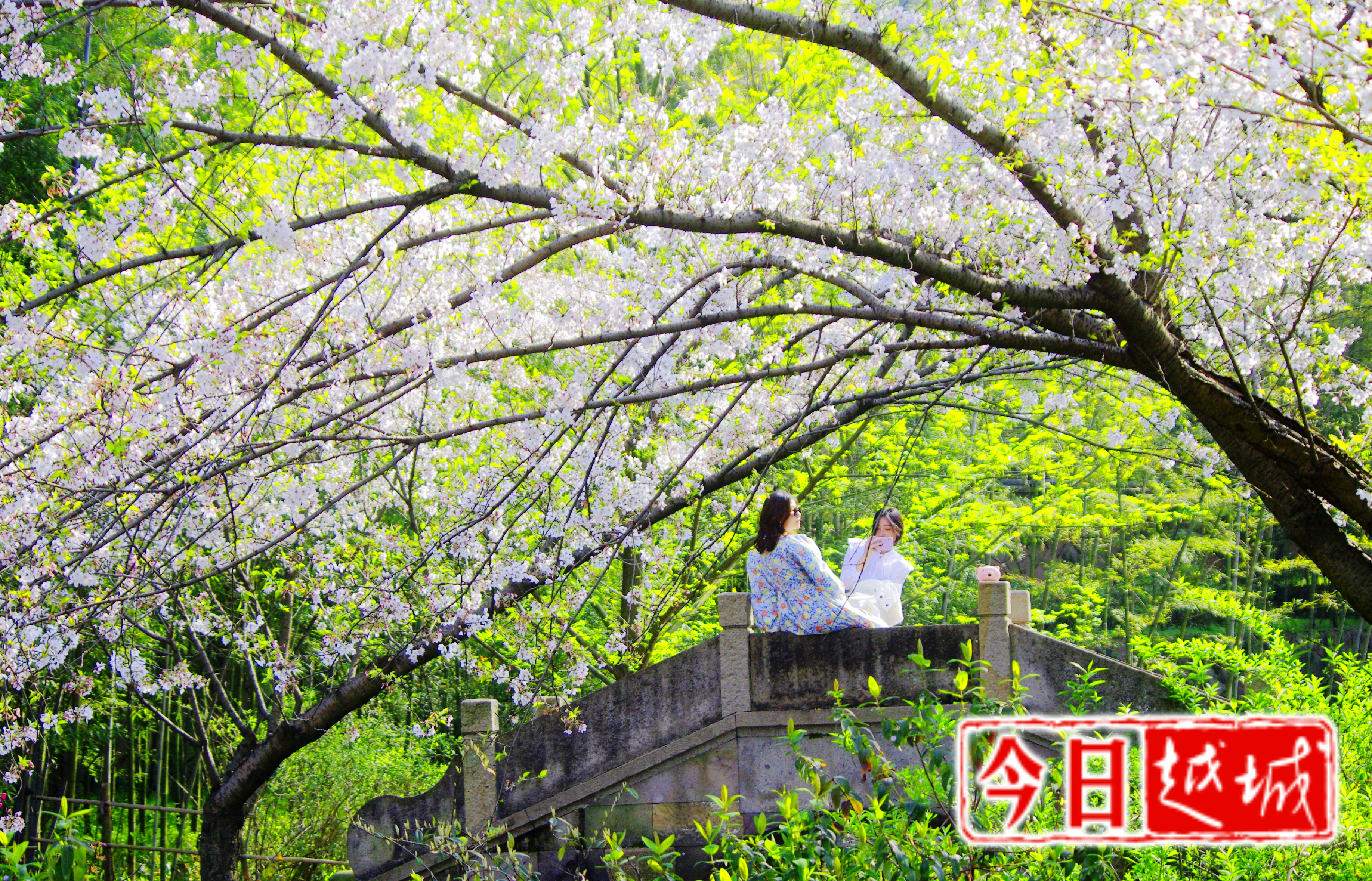 公园绿意盎然。金勇 摄.jpg