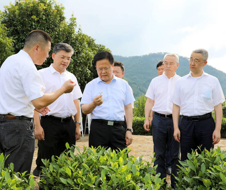 郑栅洁只争朝夕埋头苦干注重实效加快推动山区高质量发展