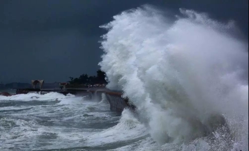 海啸来了我们怎么应对?巨浪的威力有多大?