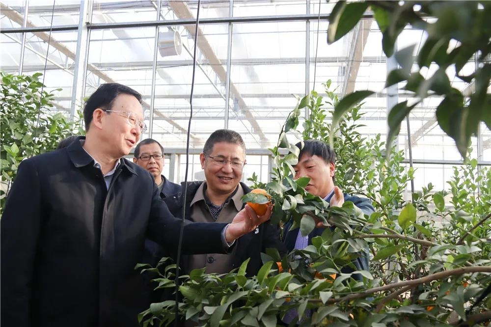 市人大常委会秘书长赖瑞洪参加,市农业农村局党委书记,局长刘明鹤作