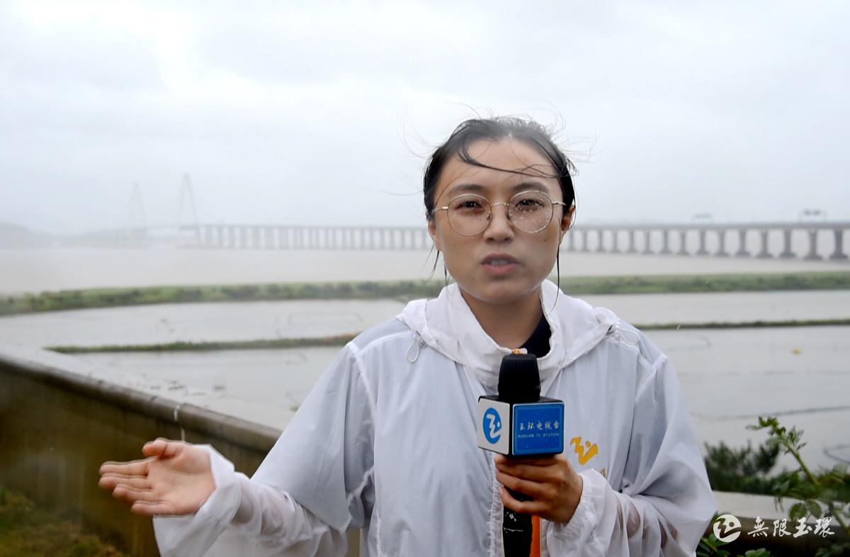 采访李广均的女记者图片