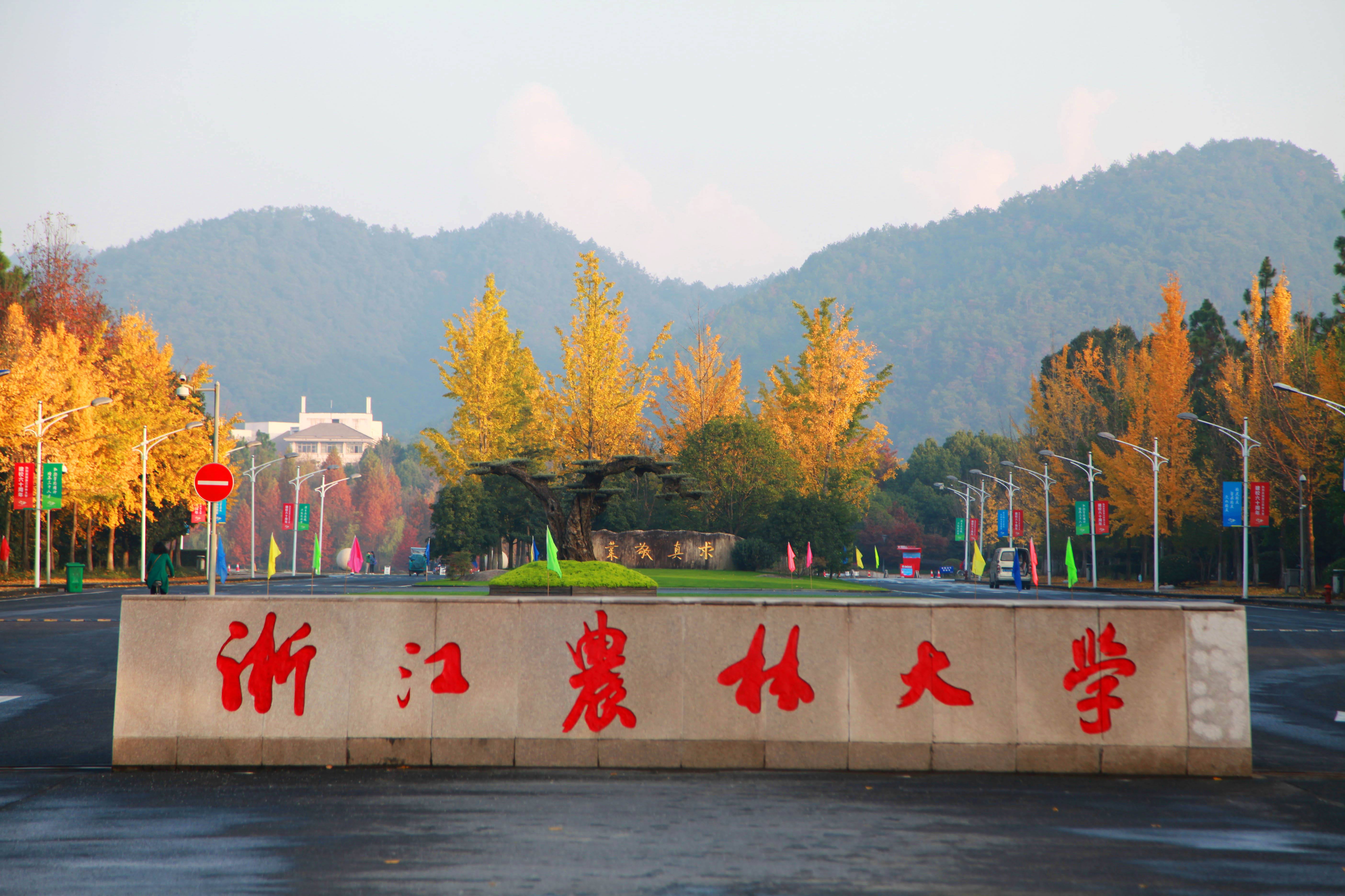 浙江农林大学校门图片