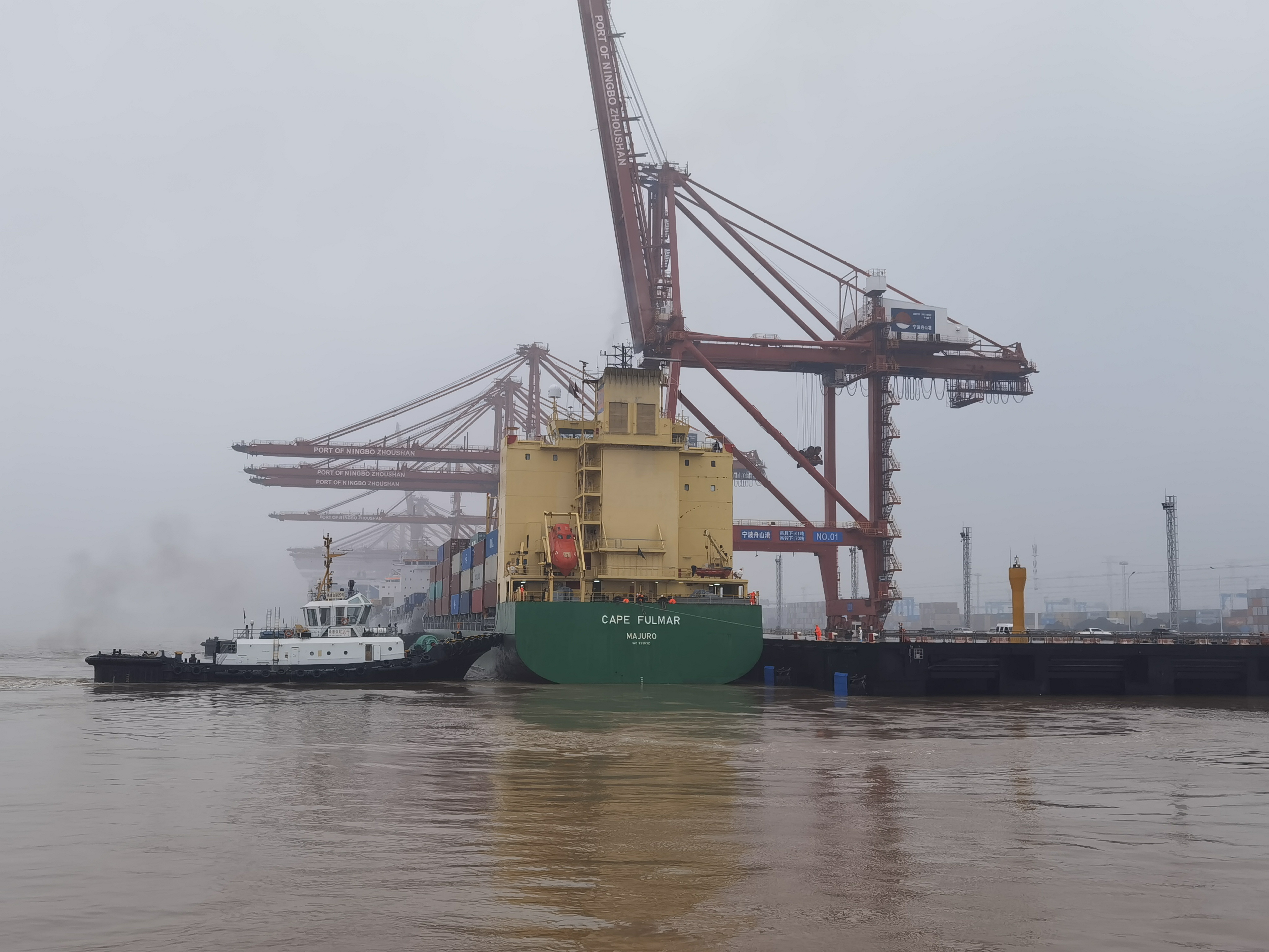 宁波舟山港穿山港区集装箱码头1号泊位迎靠第一艘国际航行船舶