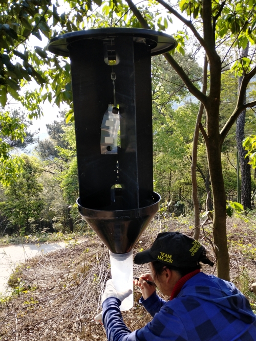 铆足干劲战松癌海曙区在林区悬挂松墨天牛诱捕器