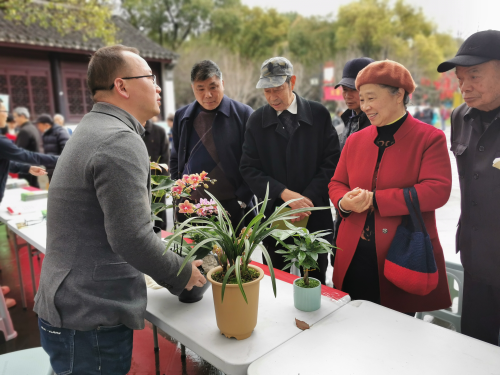 做好植绿爱绿护绿助力我市创建国家生态园林城市