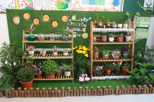 寸寸绿意芳草心班级种植角赋能劳动教育新样态