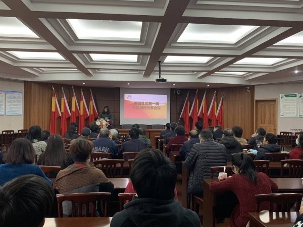 丽园社区召开新一届社区居民代表会议