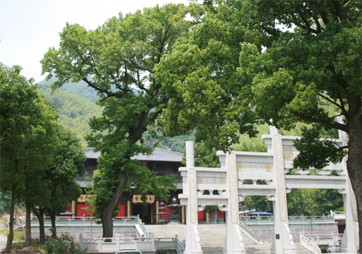 宁波金峨禅寺风景图片
