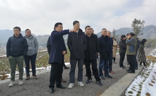 市政府副秘书长金春波,磐安县委书记王志强,市发改委陈安副主任等相关