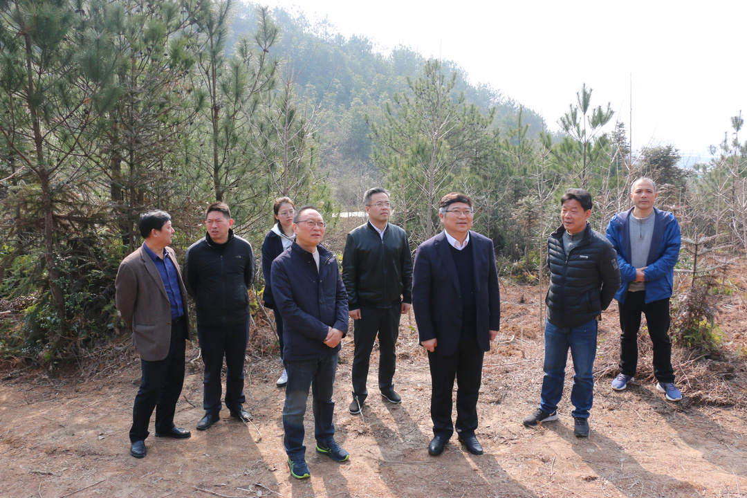 杭坪镇石宅村及杭坪镇程家村香榧基地等现场,实地了解浦江县全面推行