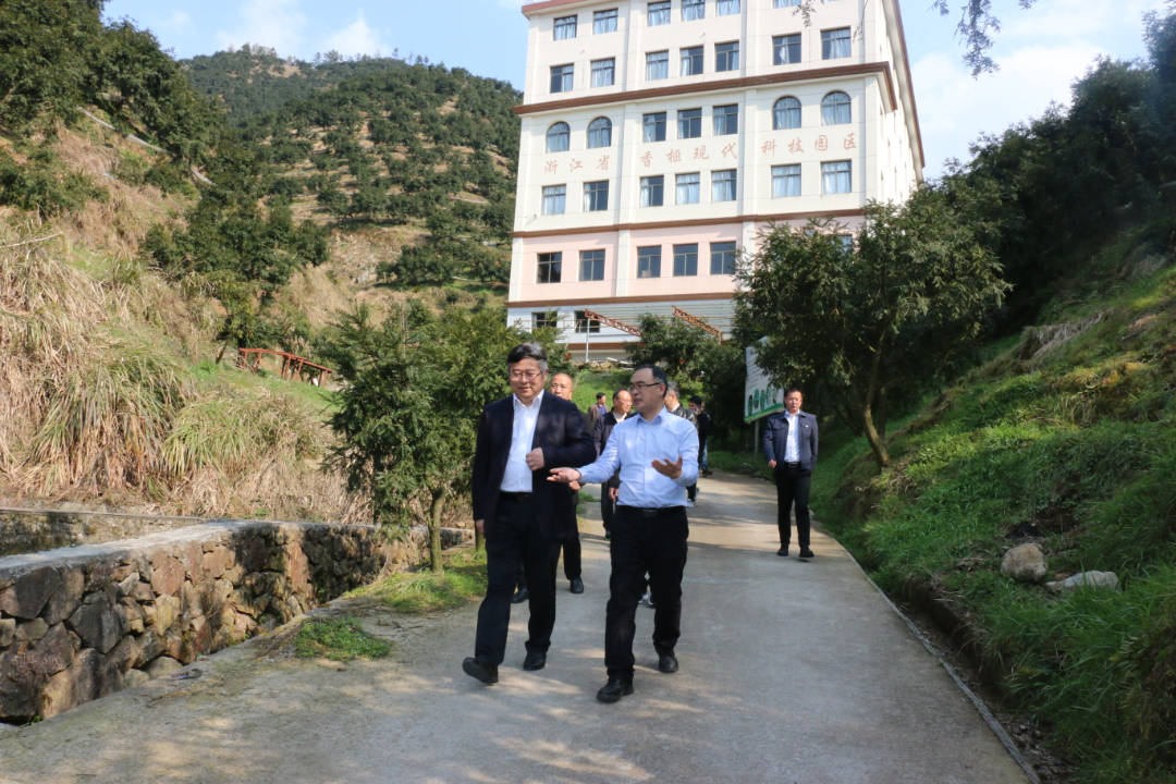 杭坪镇石宅村及杭坪镇程家村香榧基地等现场,实地了解浦江县全面推行