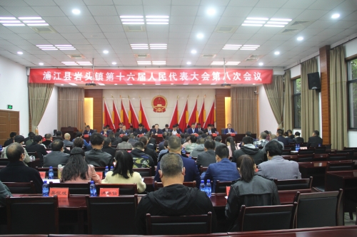 岩头镇第十六届人民代表大会第八次会议顺利召开