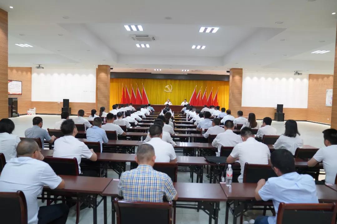 莲都区委书记在碧湖镇上专题党课