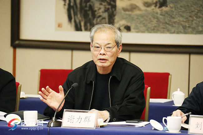 专家把脉智库献策庆元县十四五规划纲要专家咨询会召开